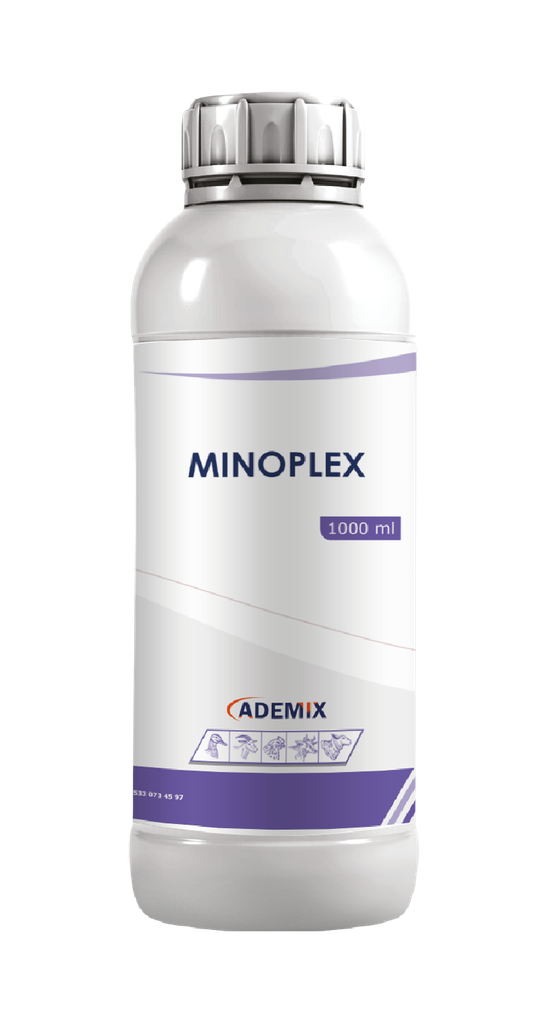 Minoplex
