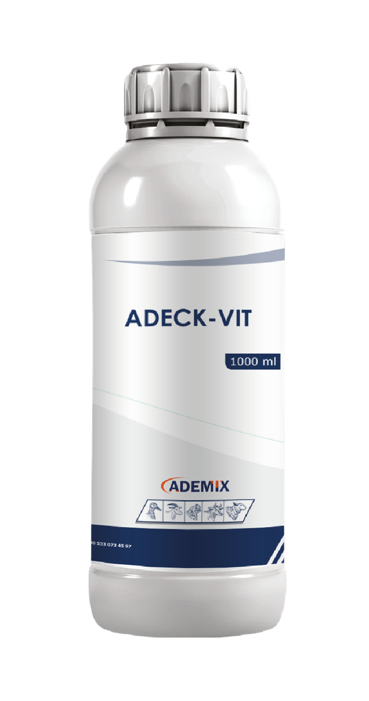 ADECK - VIT