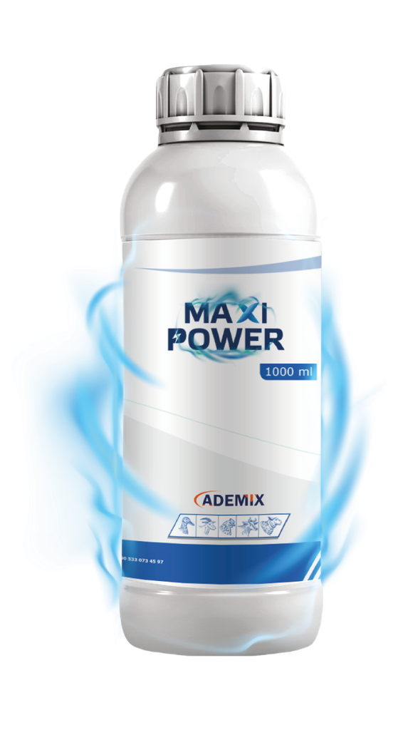 MAXI POWER