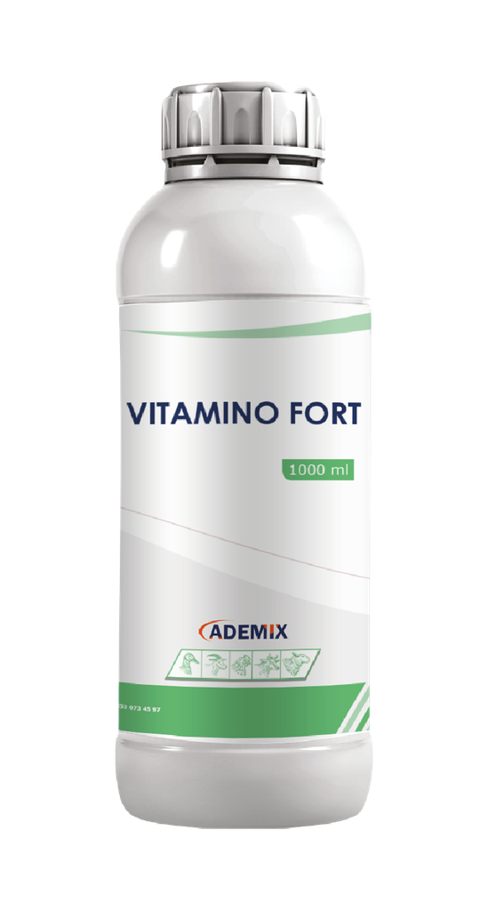 VITAMINO FORT