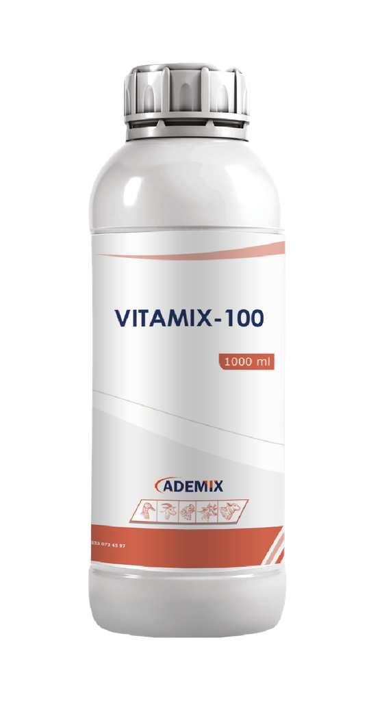 VITAMIX - 100