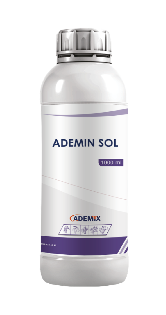 ADEMIN SOL