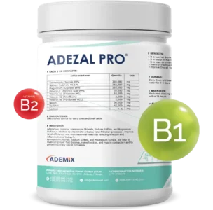 ADEZAL PRO electrolytes and vitamins B1 and B2 supplement for dairy cows and cattle from ADEMIXVET