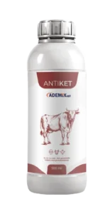 ANTIKET liquid bottle (500 ml) for the treatment and prevention of ketosis and energy deficiency in dairy cattle.