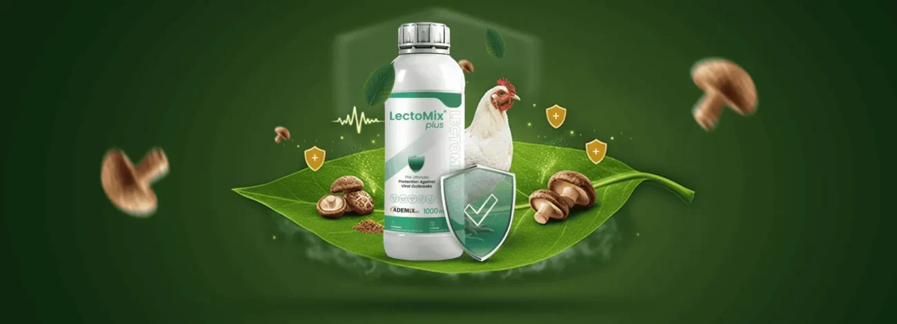 An image of the LectoMix plus product, showing the bottle on a plant leaf next to a chicken and protection icons.