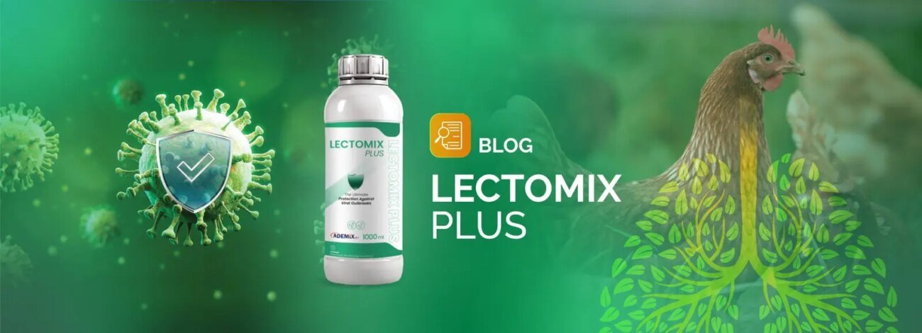 An image illustrating the benefits of LECTOMIX PLUS for protecting poultry from viruses and boosting their internal health and vitality.