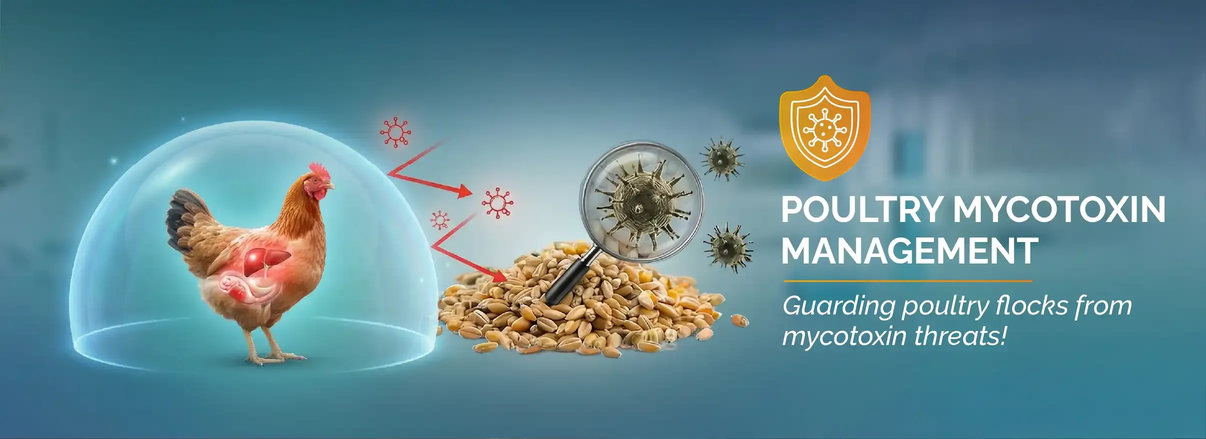 Graphic representing the strategy for guarding poultry flocks from mycotoxin threats using a protective shield.