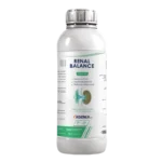 RENAL BALANCE
